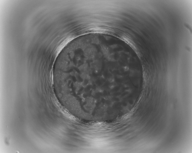 X0000100220891200806271724