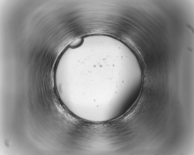 X0000100220892200806271724