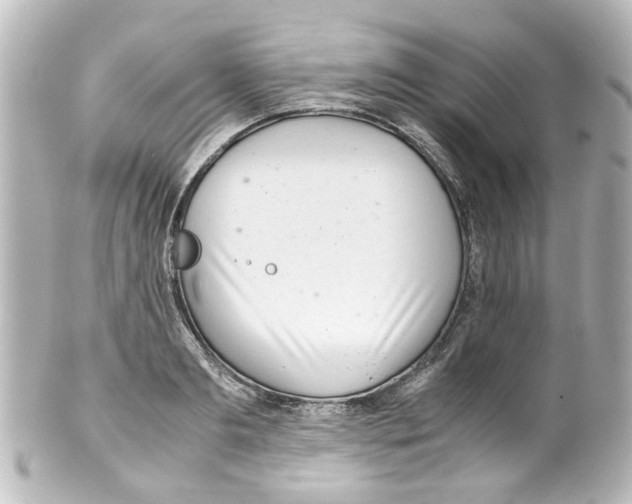 X0000100220893200806271724