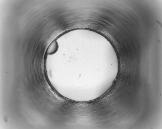 X0000100220894200806271724