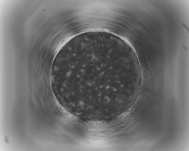 X0000100220895200806271724