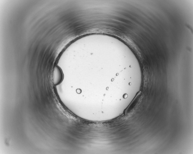 X0000100220896200806271724