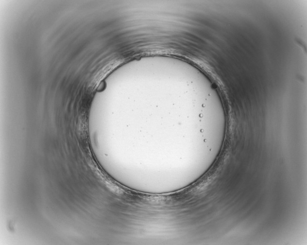 X0000100220897200806271724