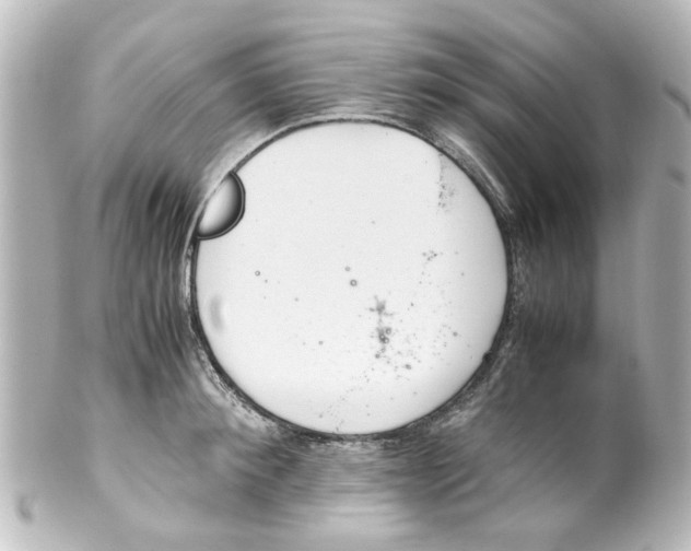 X0000100220900200806271724