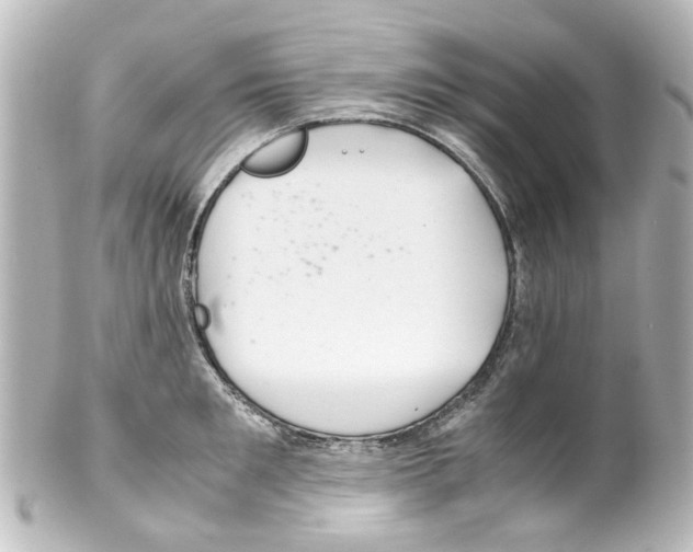 X0000100220901200806271724