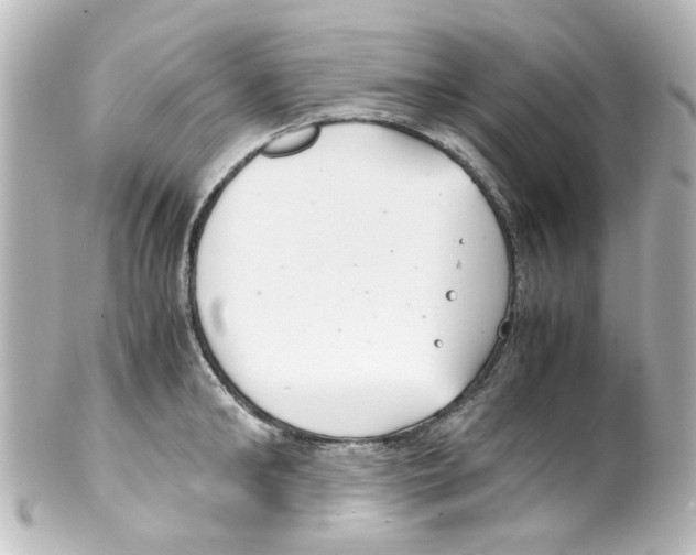 X0000100220902200806271724