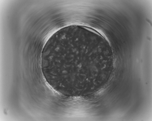 X0000100220903200806271724