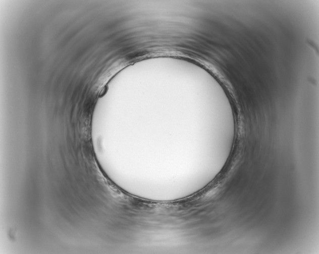 X0000100220905200806271724