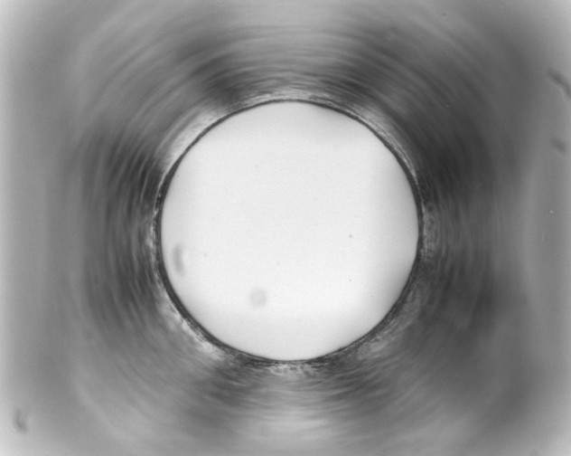 X0000100220906200806271724