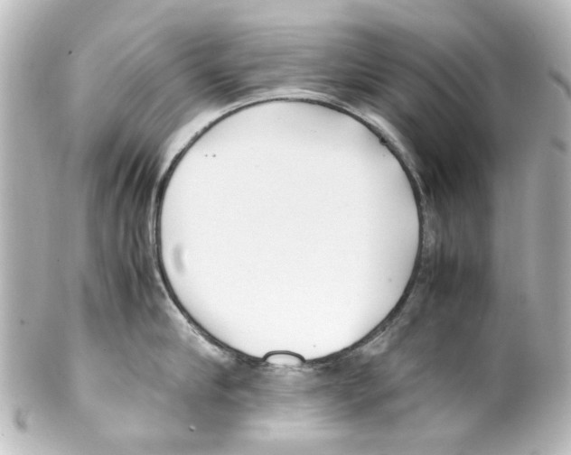 X0000100220910200806271724