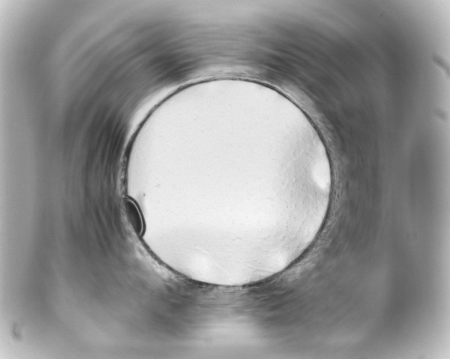 X0000100220912200806271724