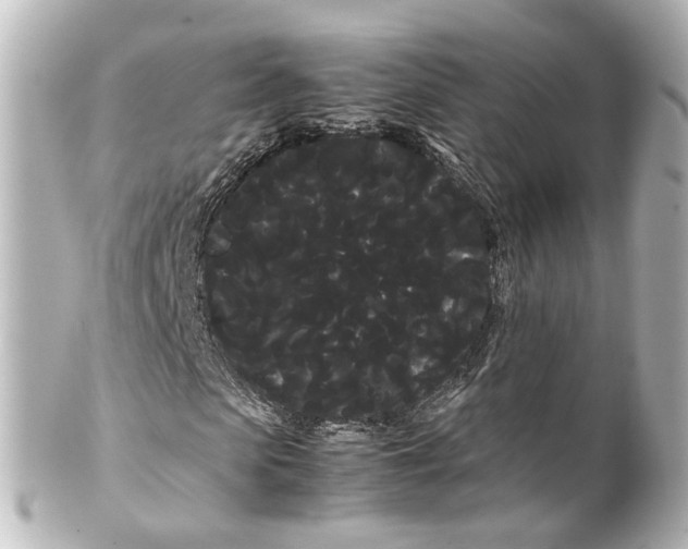 X0000100220913200806271723