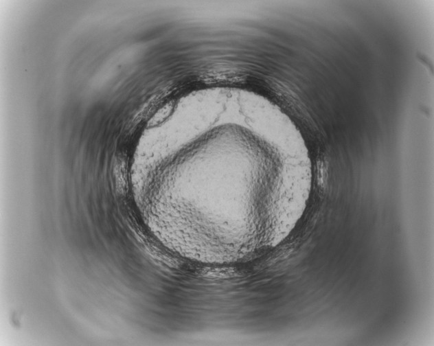 X0000100220915200806271723