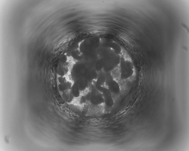 X0000100220917200806271723