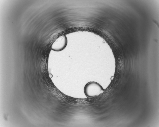 X0000100220918200806271723