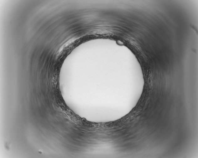 X0000100220920200806271723