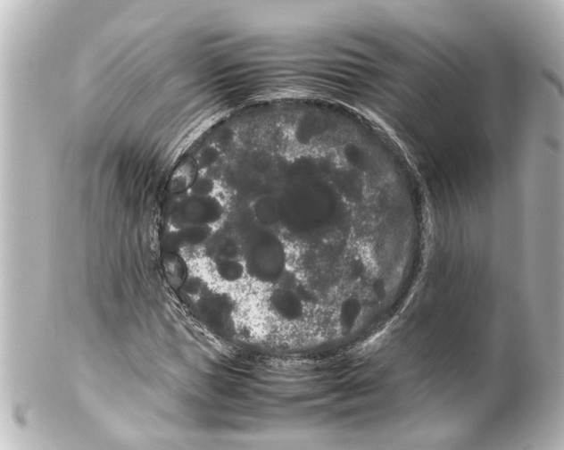 X0000100220921200806271723