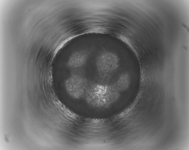 X0000100220923200806271723