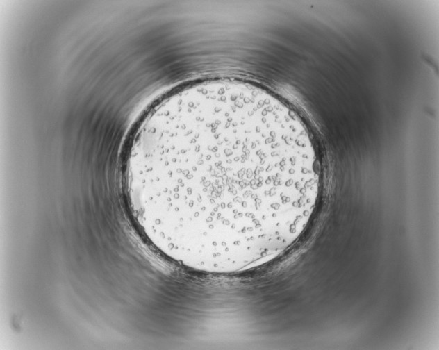 X0000100220924200806271723