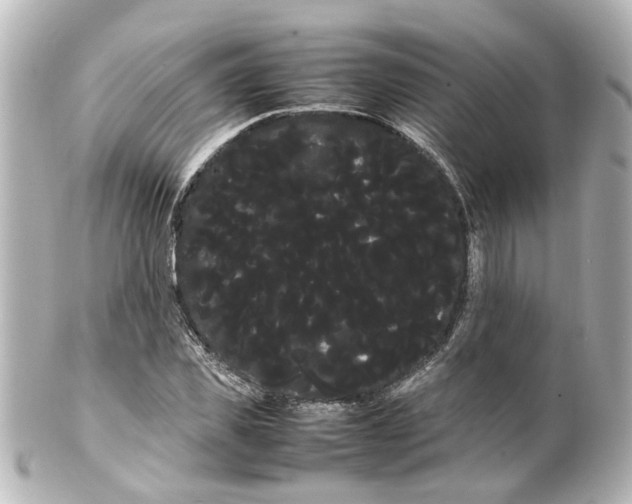 X0000100220925200806271724