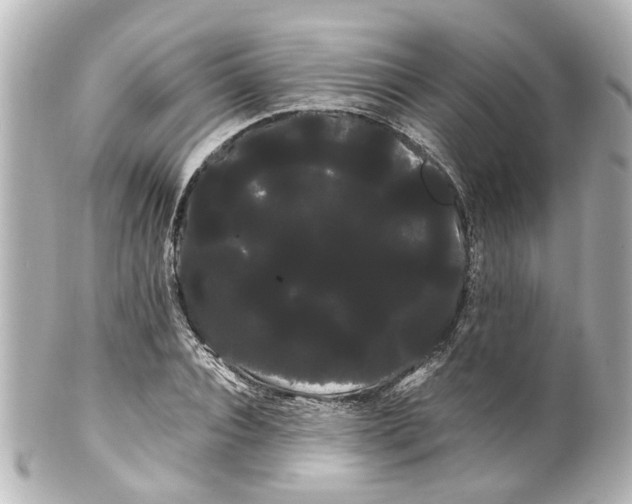 X0000100220928200806271724