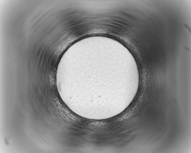 X0000100220929200806271724