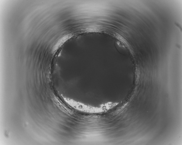 X0000100220930200806271724