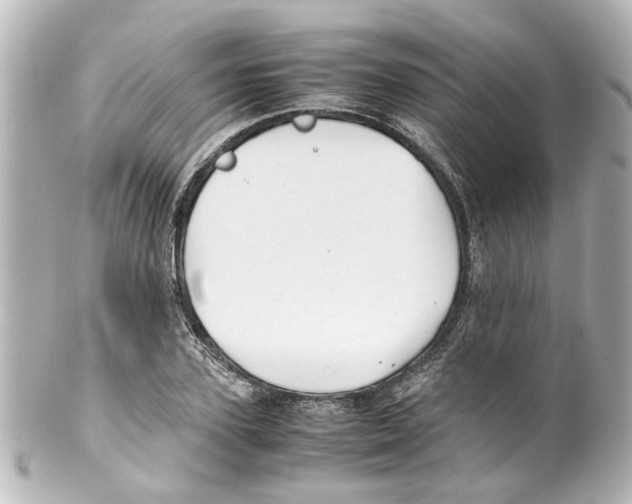 X0000100220931200806271724