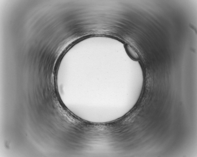 X0000100220932200806271724