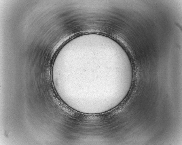 X0000100220933200806271724