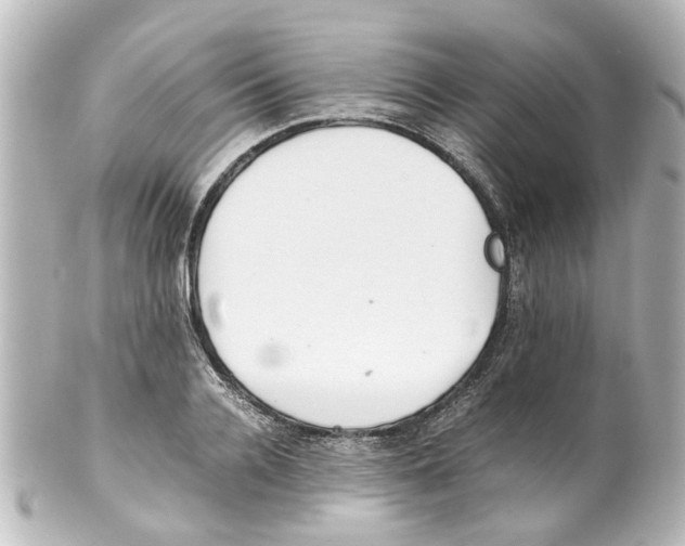 X0000100220936200806271724