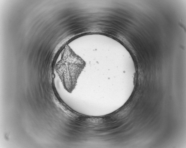 X0000100220939200806271724