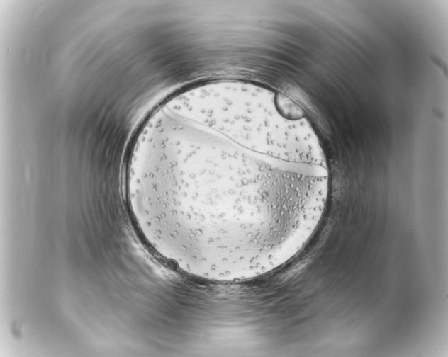 X0000100220940200806271724