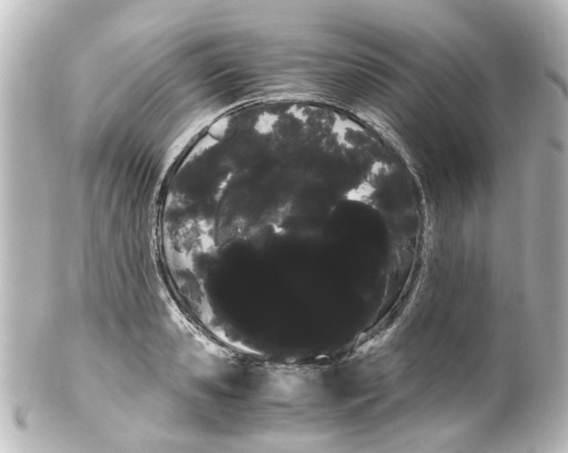 X0000100220941200806271724