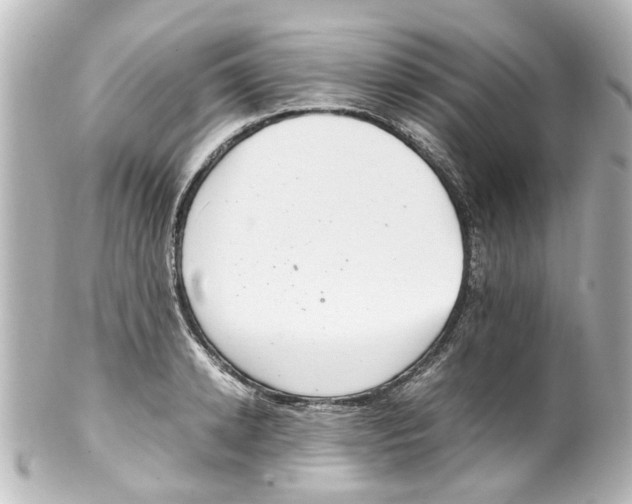 X0000100220942200806271724