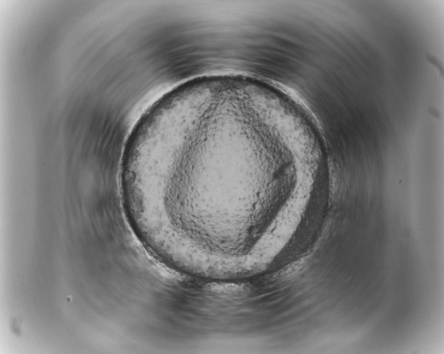 X0000100220943200806271724