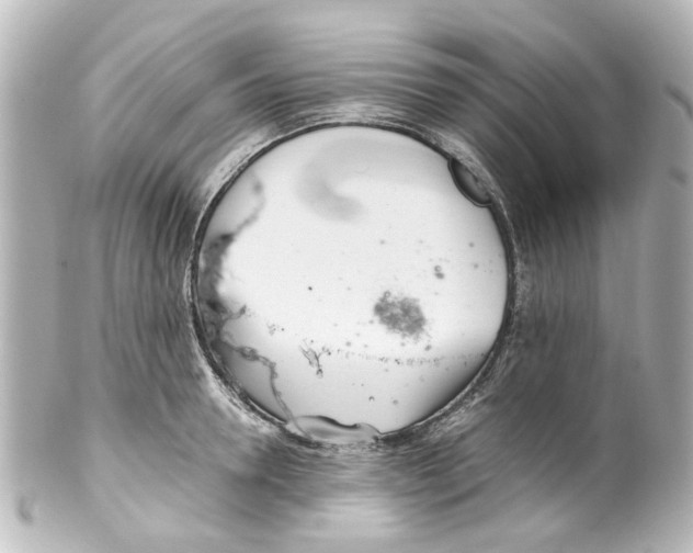 X0000100220946200806271724