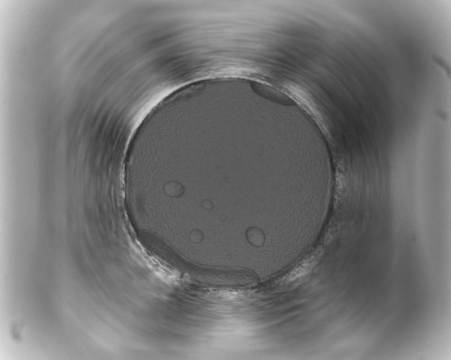 X0000100220948200806271724