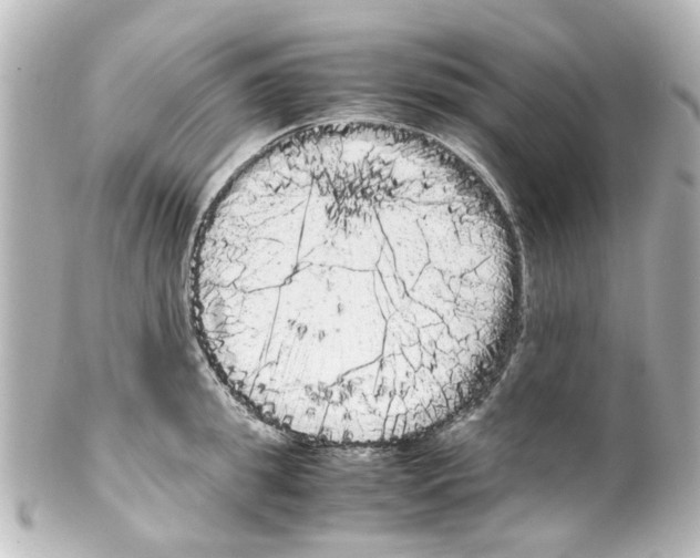 X0000100220949200806271724