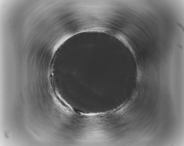 X0000100220952200806271724