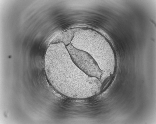 X0000100220953200806271724