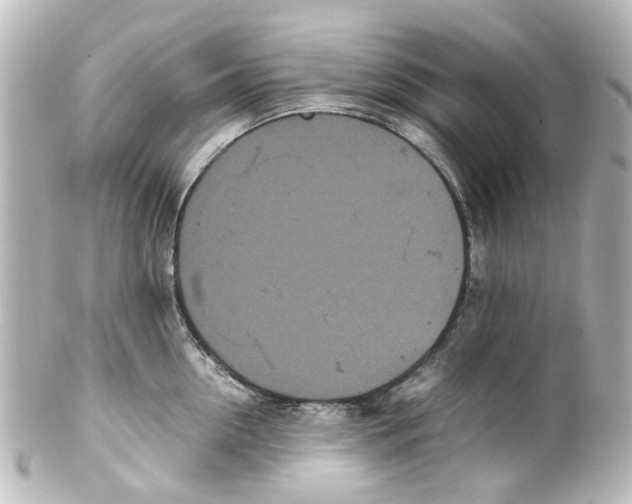 X0000100220954200806271724