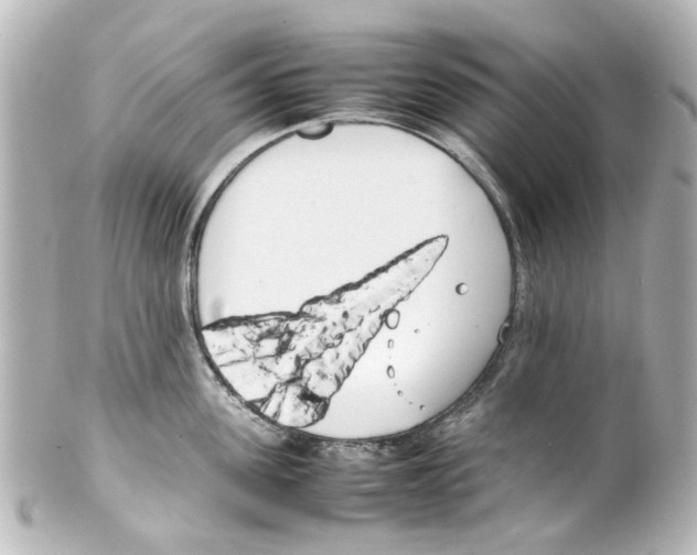 X0000100220955200806271724