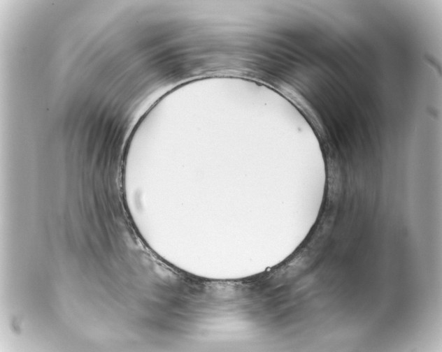 X0000100220956200806271724