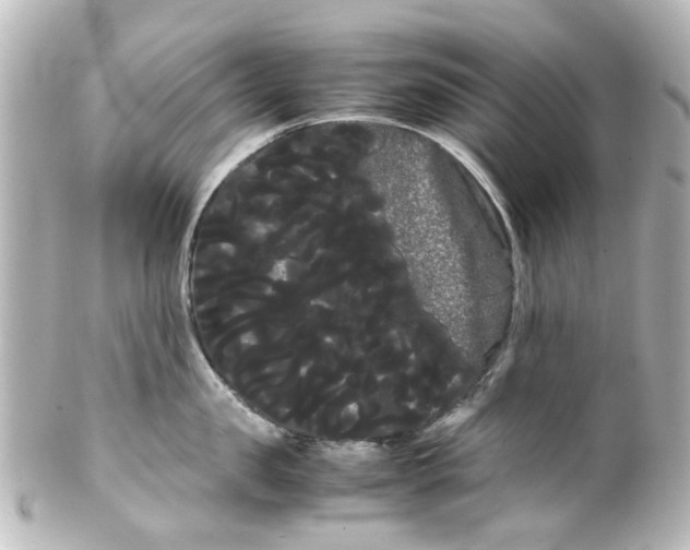 X0000100220957200806271724