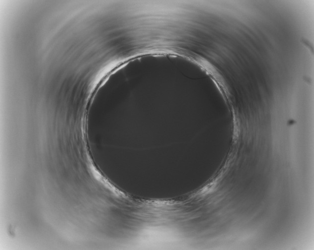 X0000100220958200806271724