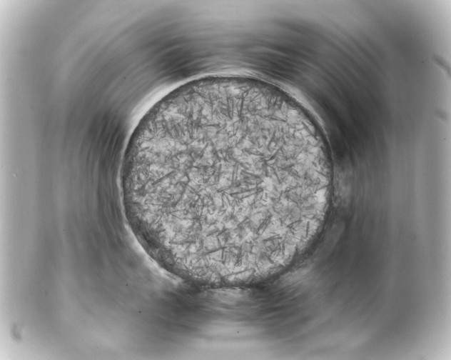 X0000100220959200806271724