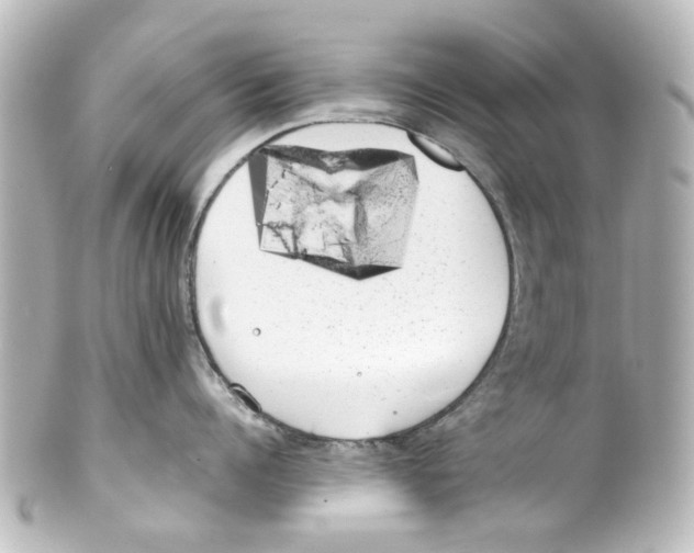 X0000100220960200806271724