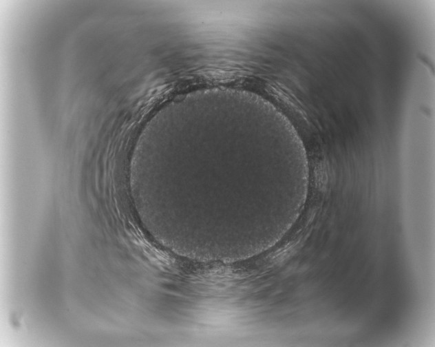 X0000100220961200806271723