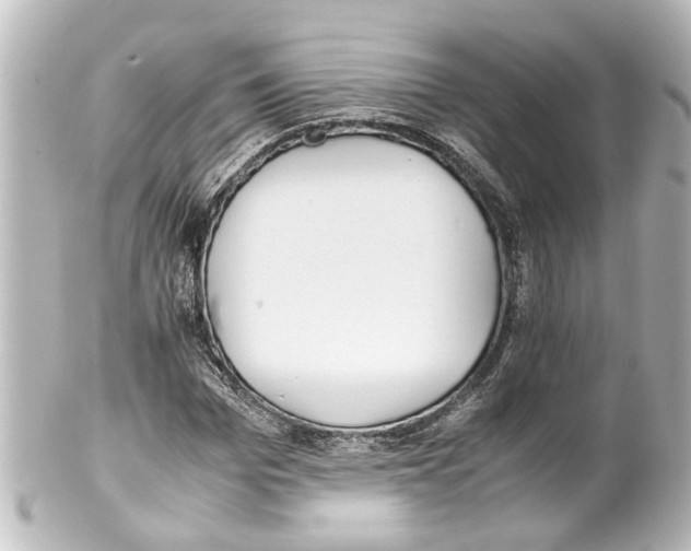 X0000100220969200806271723